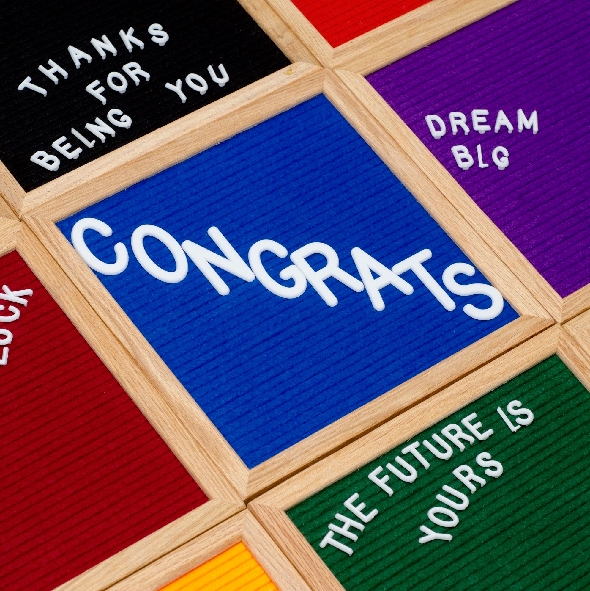 Collegiate Collection